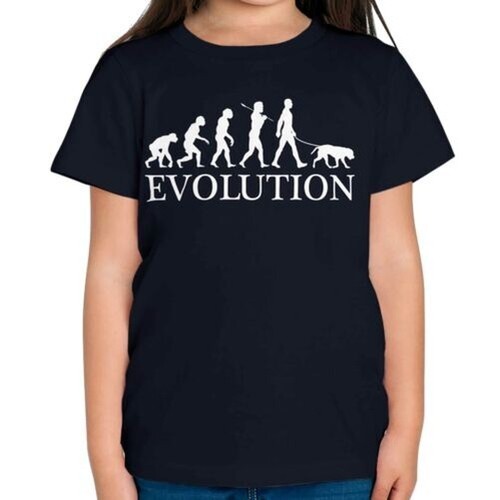 Labrador retriever evolution - retriever,