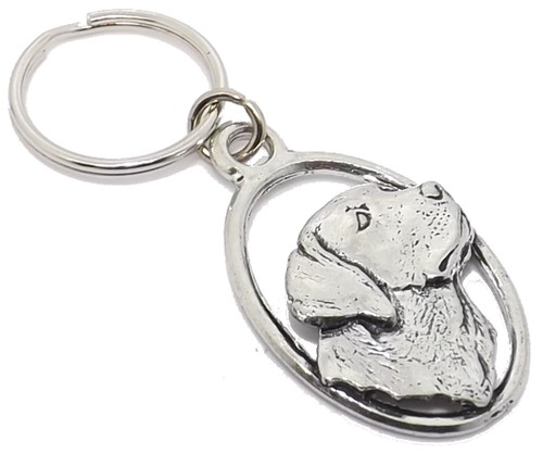 Argento peltro cane labrador - argento,