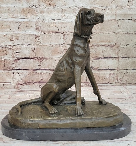 Labrador retriever marmo - retriever,