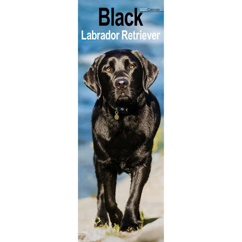 Calendario nero labrador - nero,