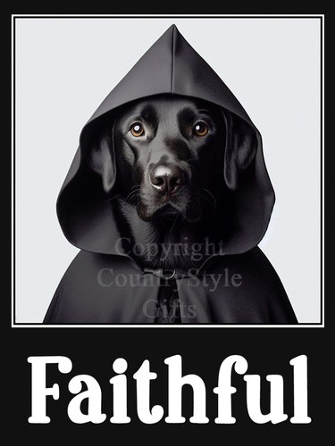 Labrador dog funny - labrador,