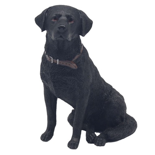 Sitting black labrador - black,