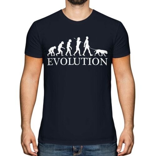 Labrador retriever evolution - labrador,