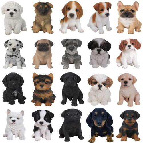 Vivid arts pet - vivid,
