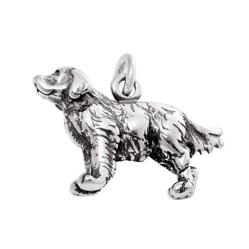 Ciondolo charm golden - charm,