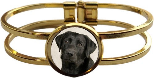 Black labrador pet high - labrador,