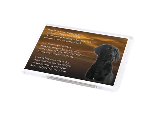 Black labrador dog fridge - labrador,
