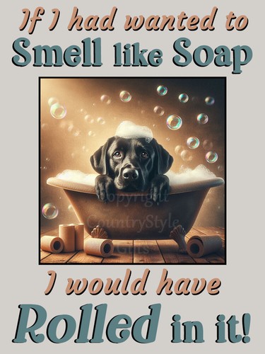 Black labrador pet - labrador, funny