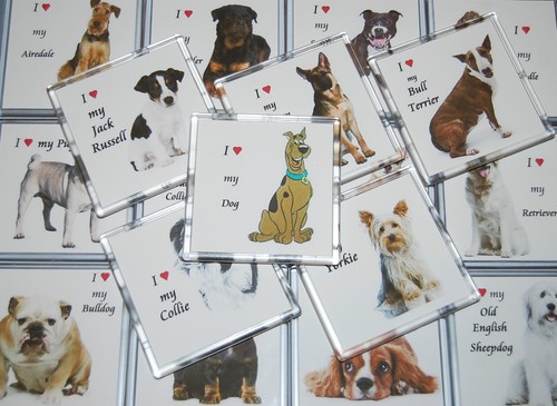 Love dog stupendo - love,