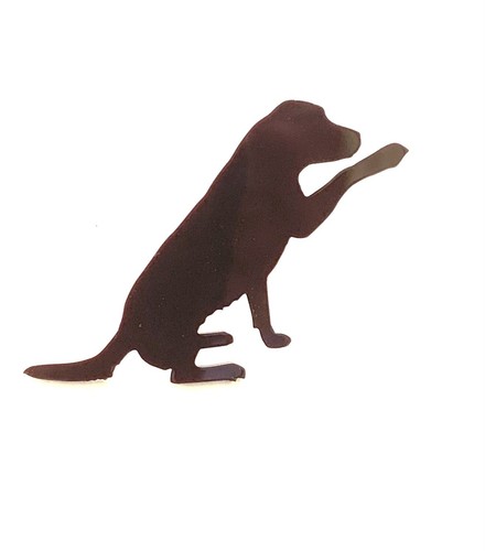 Cane labrador con zampa - labrador, frigo