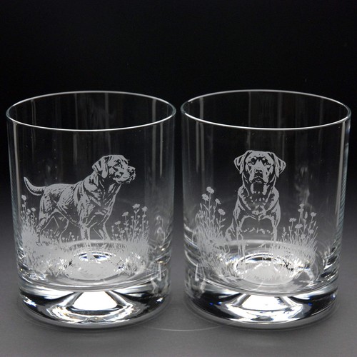 Bicchiere whisky per - whisky, cani