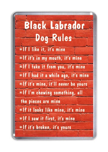 Black labrador dog rules - labrador,