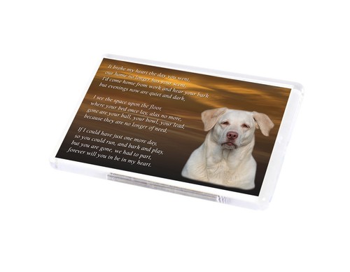 Golden labrador dog fridge - golden,