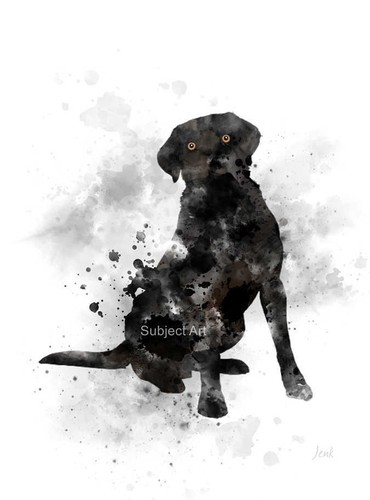 Black labrador art print - black,