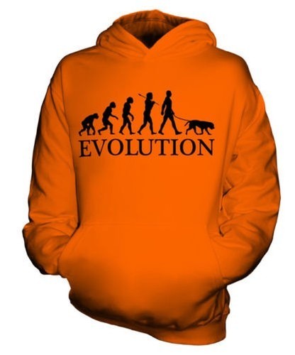 Labrador retriever evolution - labrador,