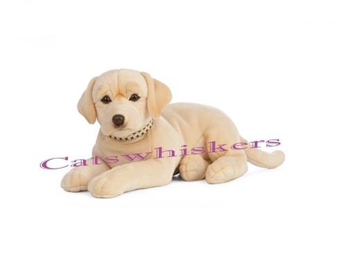 Peluche labrador dorato - labrador,