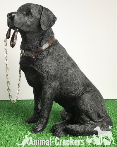 Leonardo black labrador - leonardo,