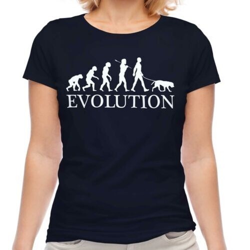 Labrador retriever evoluzione - labrador,