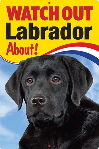 Regalo labrador black lab - black,