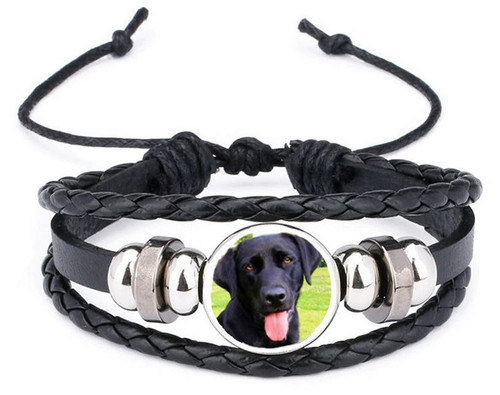 Black labrador dog - dog,