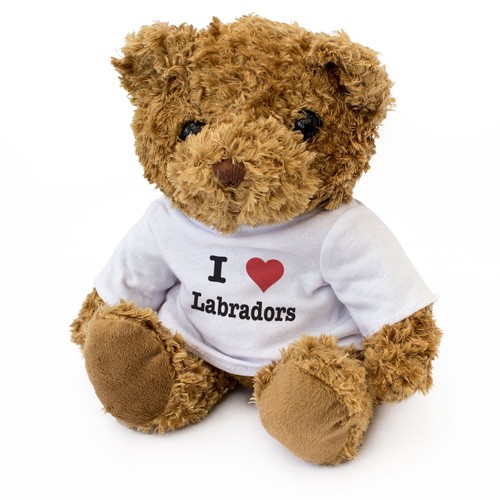 Nuovo amo labrador - amo,