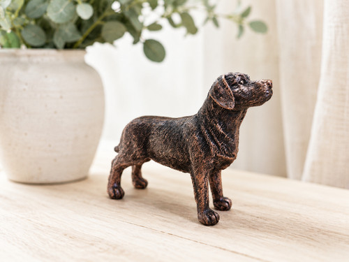 Bronze effect labrador dog - effect,
