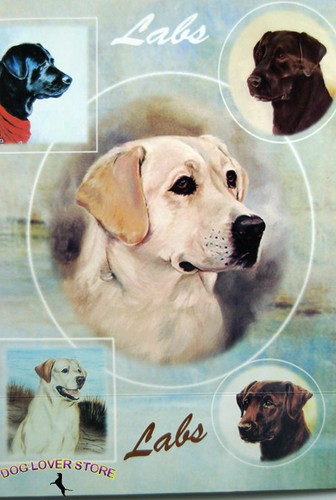 Carta regalo labrador - regalo,