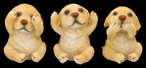 Labrador cani decorazione - labrador,