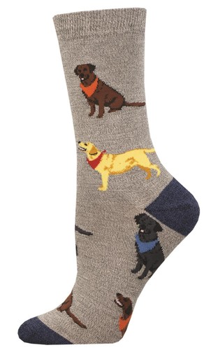 Calze per cani labrador - calze, da