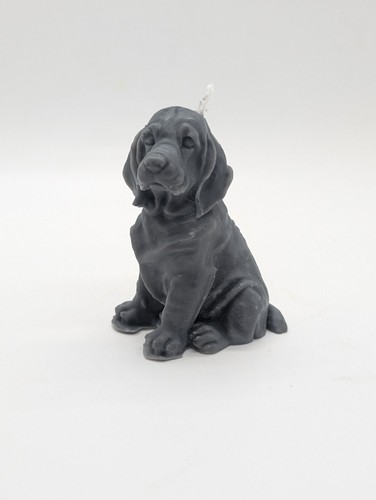 Candela cane labrador - candela, cm
