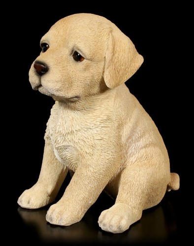 Cani cuccioli figura - cuccioli,
