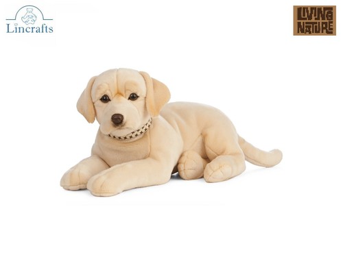 Peluche cane giocattolo
