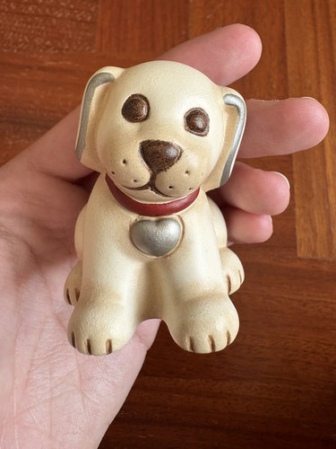 Thun cane labrador - con, collare