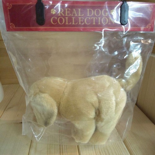 Regalo real dog collection - dog,